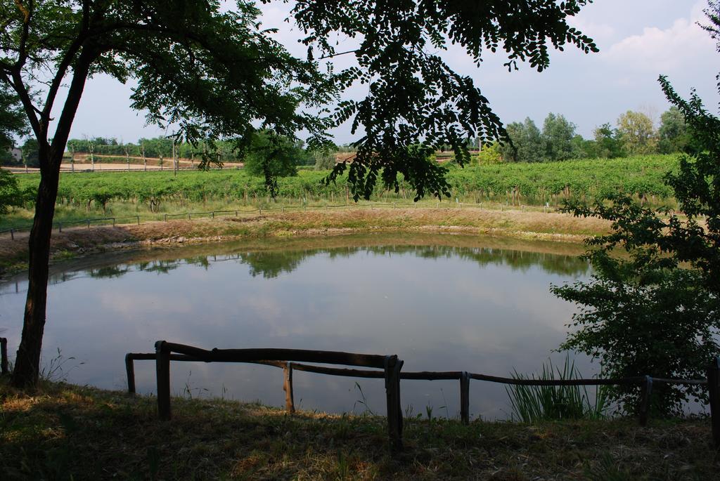 Agriturismo Ca' Vecia Villa Castelnuovo del Garda Exterior foto